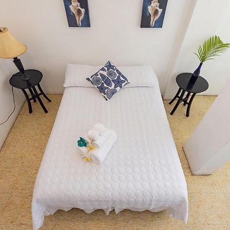 Vieques Tropical Guest House Esterno foto