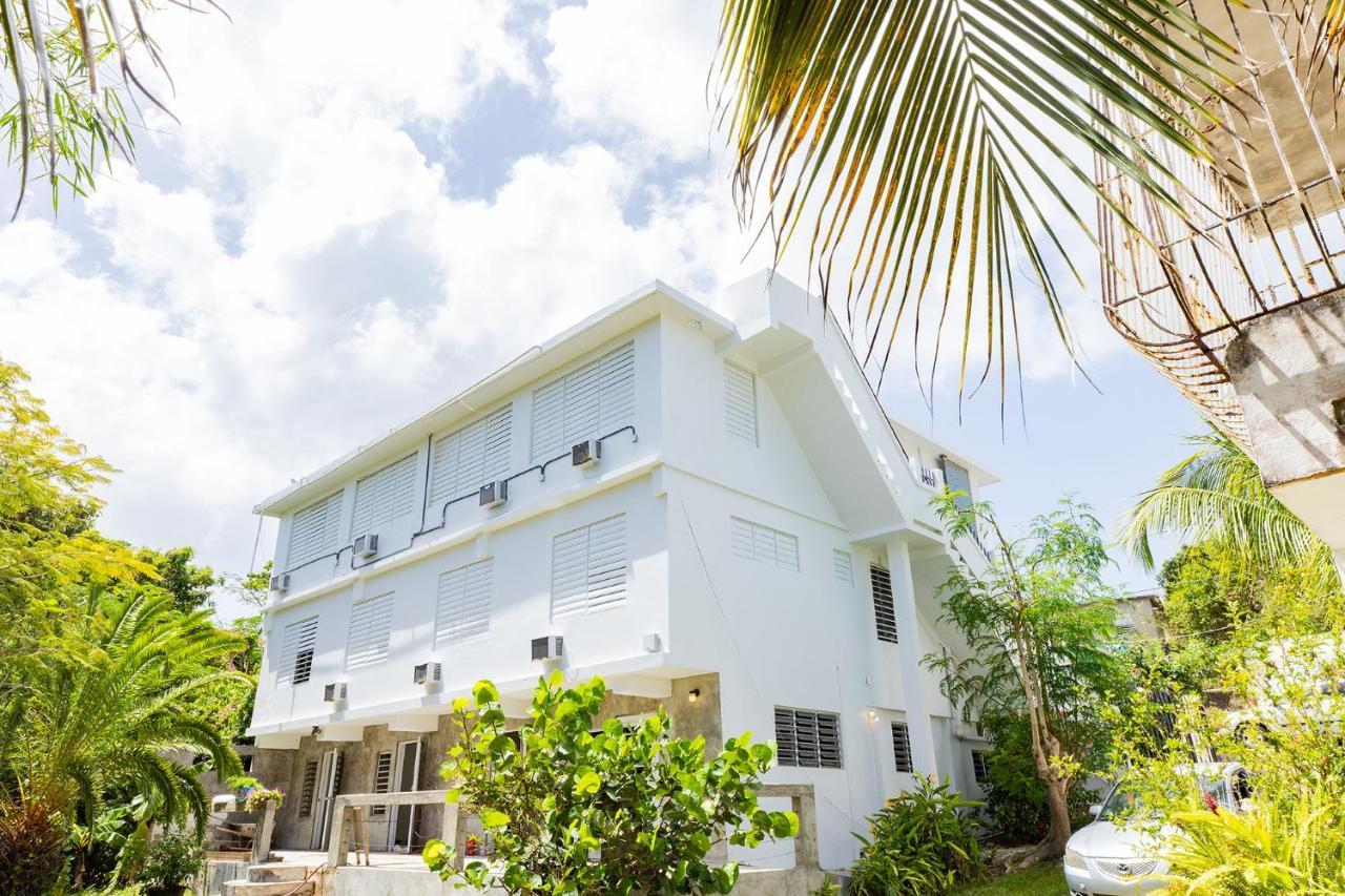 Vieques Tropical Guest House Esterno foto