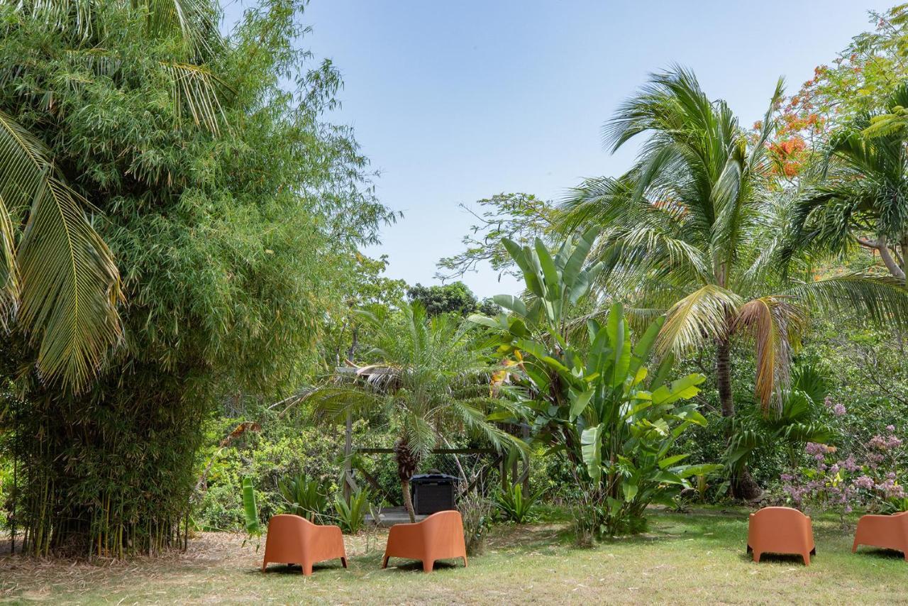 Vieques Tropical Guest House Esterno foto
