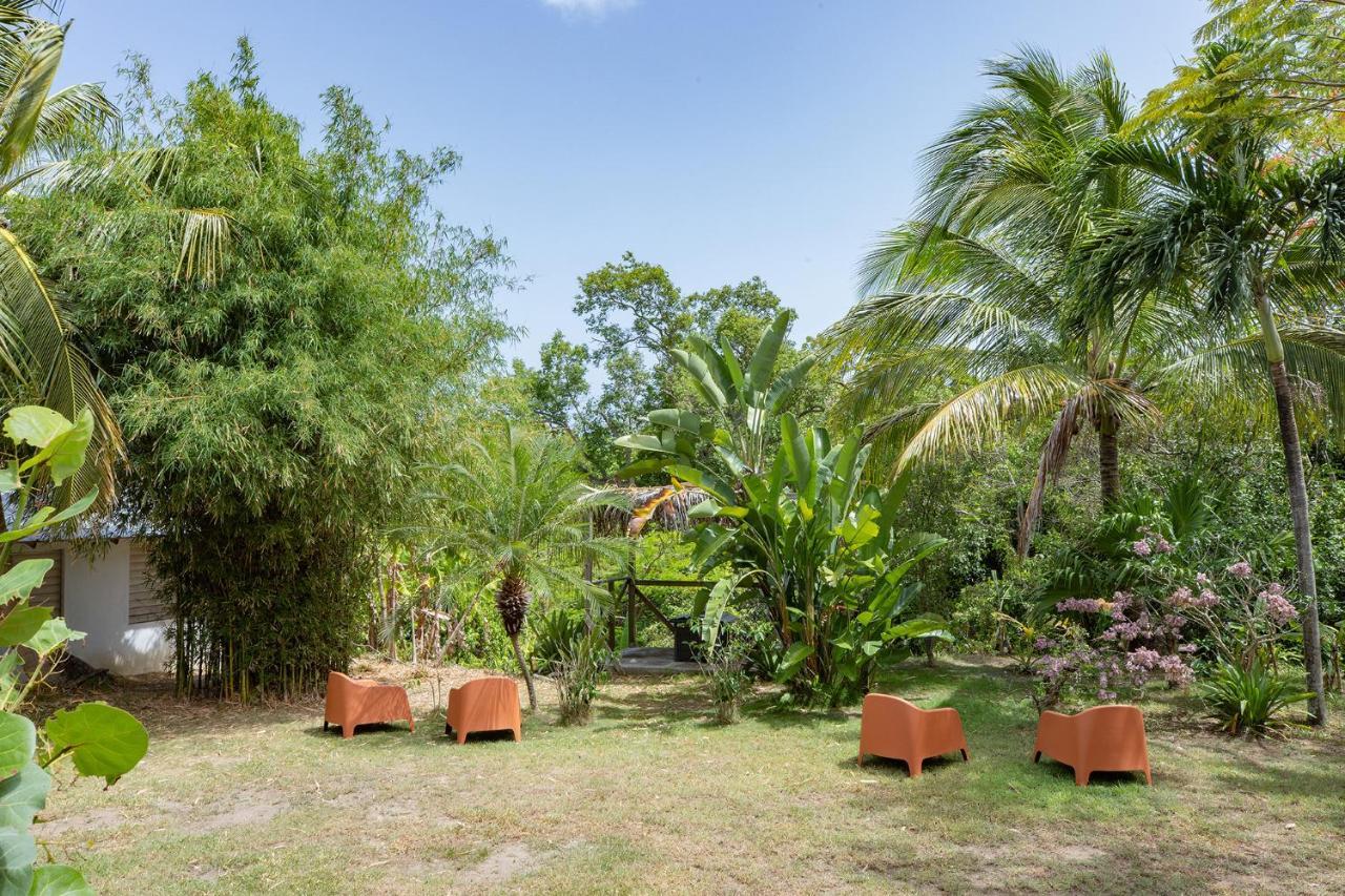 Vieques Tropical Guest House Esterno foto